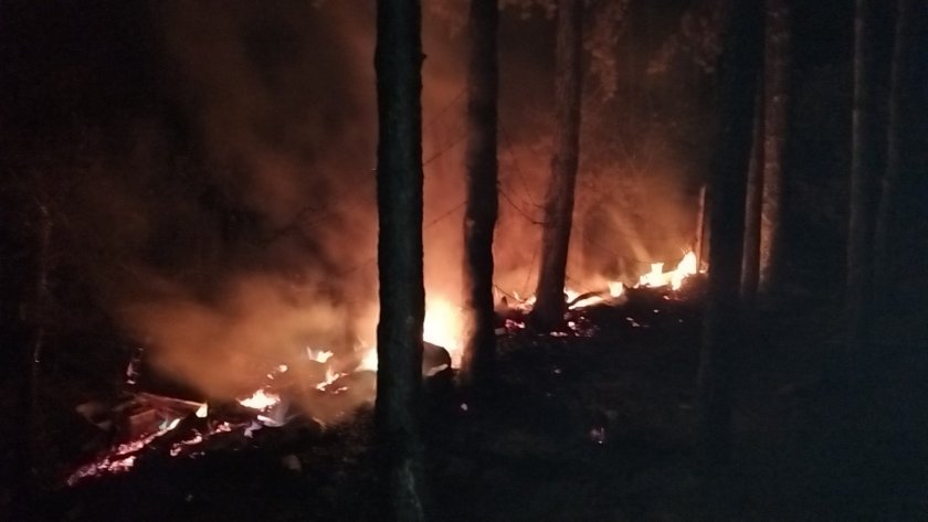 Пламна пожар в парк „Тюлбе“