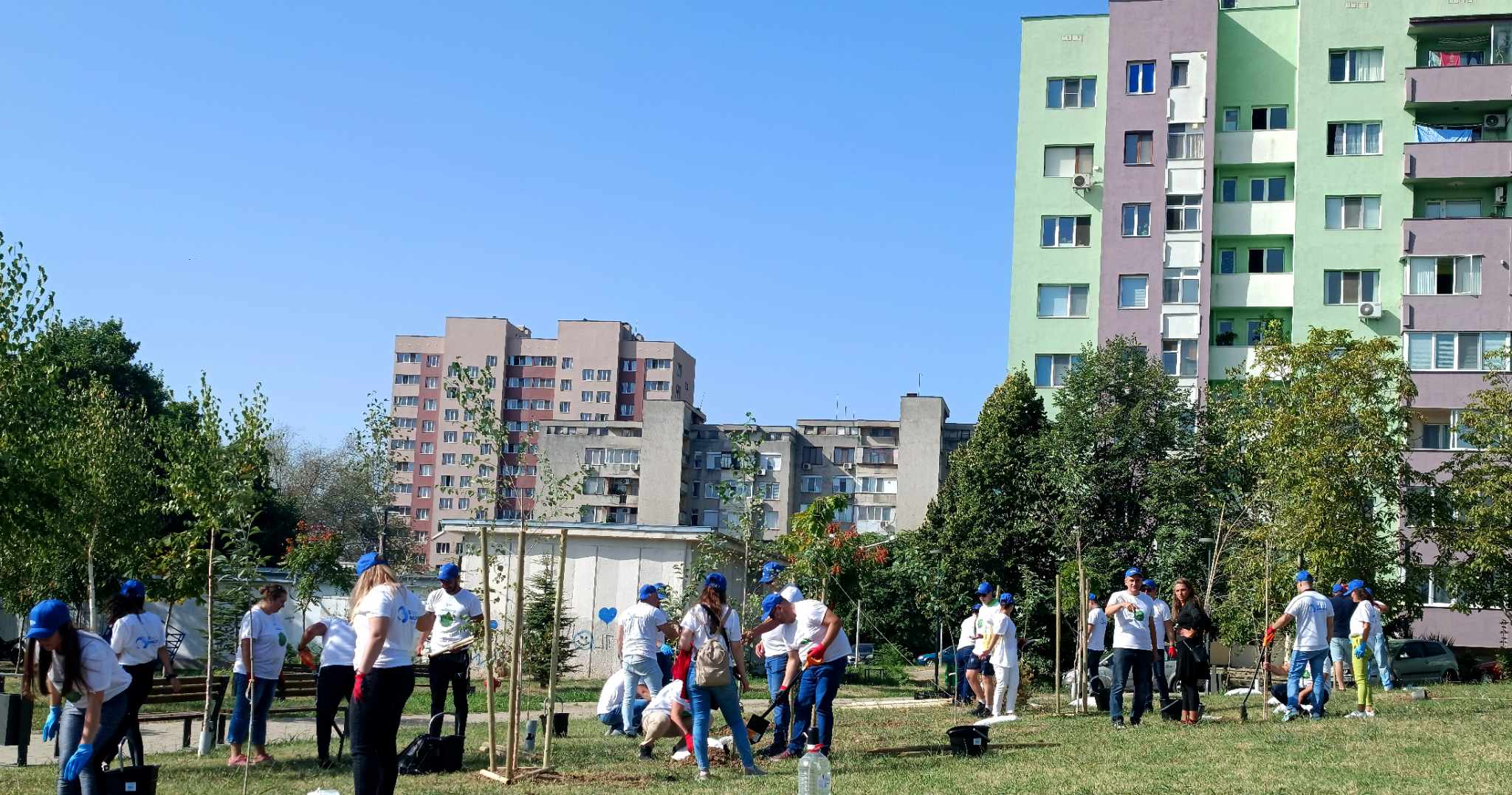 Брези и японски вишни красят южната част на парк „Артилерийски"